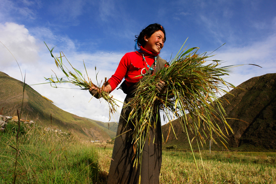 【DAY4｜日喀則 - 薩嘎】與狼共舞的無盡曠野